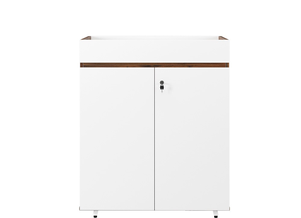 lux1000-2t2
